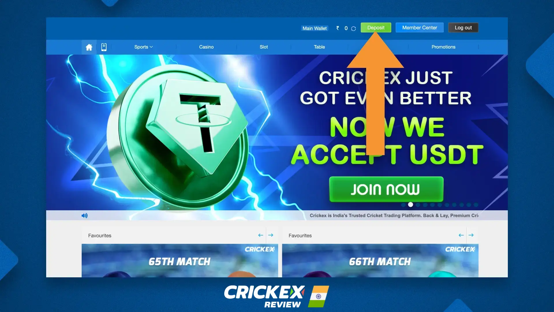 Making a deposit on Crickex website in India