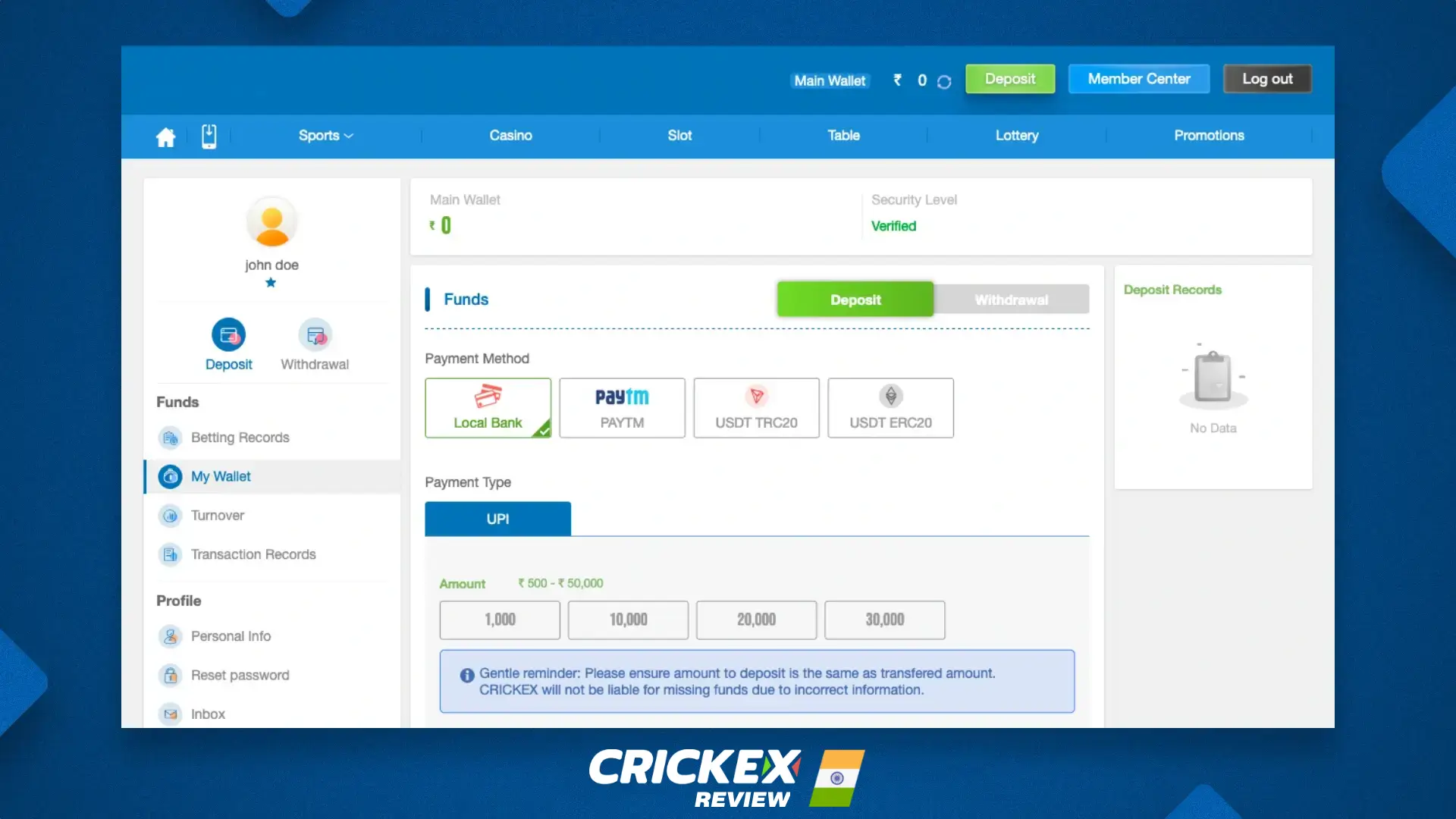 Payment methods available at Crickex, including paytm, usdt, local bank